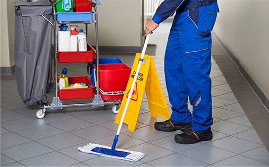 Mr. Gaf Cleaning Services Inc.